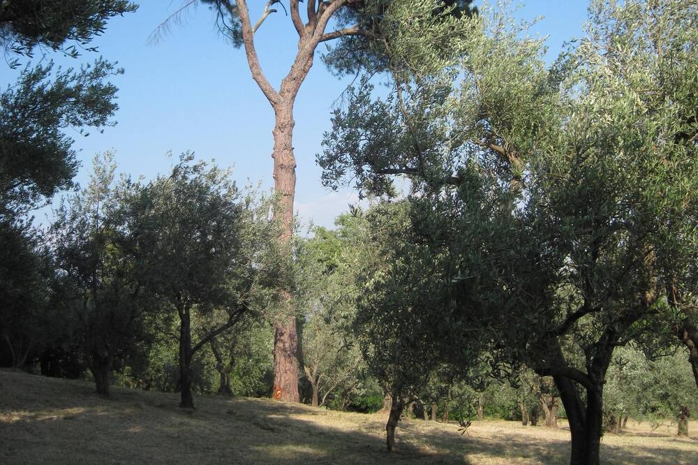 Photo of Outdoor in Faenza