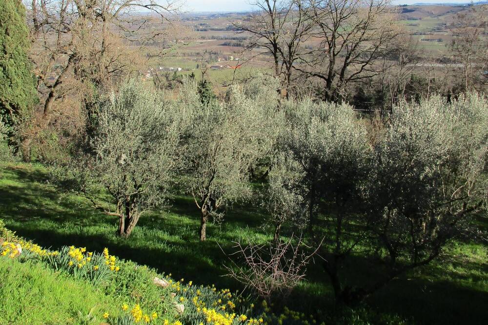 Photo of Outdoor in Faenza