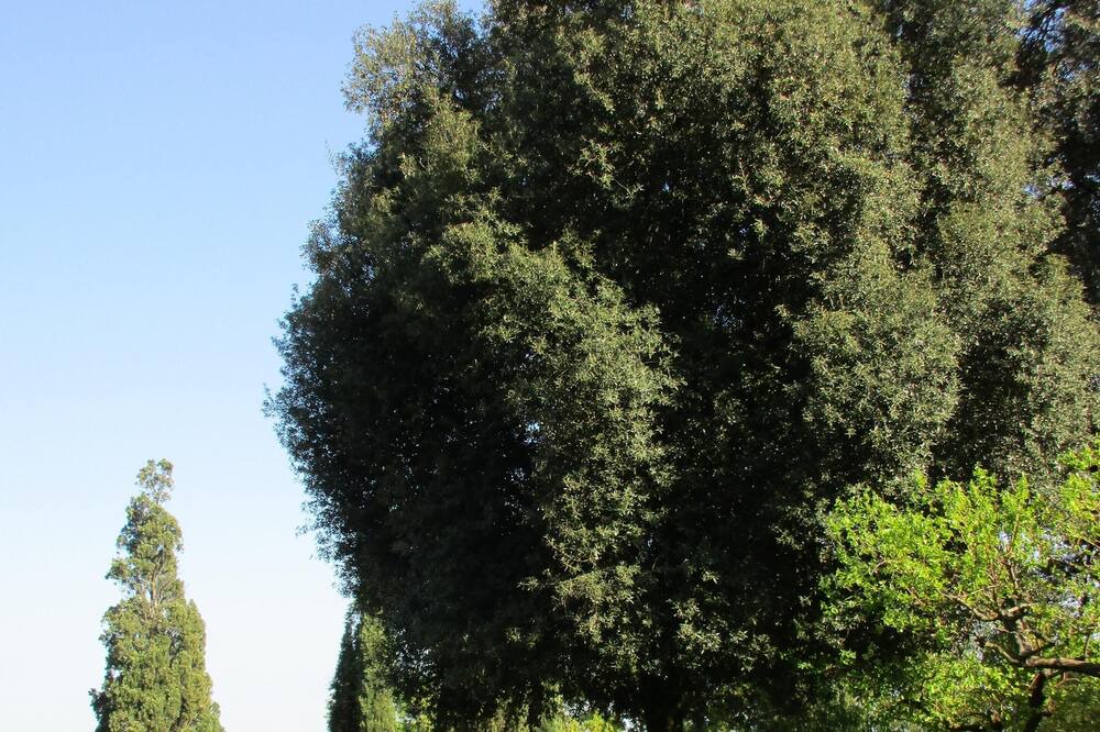 Photo of Outdoor in Faenza