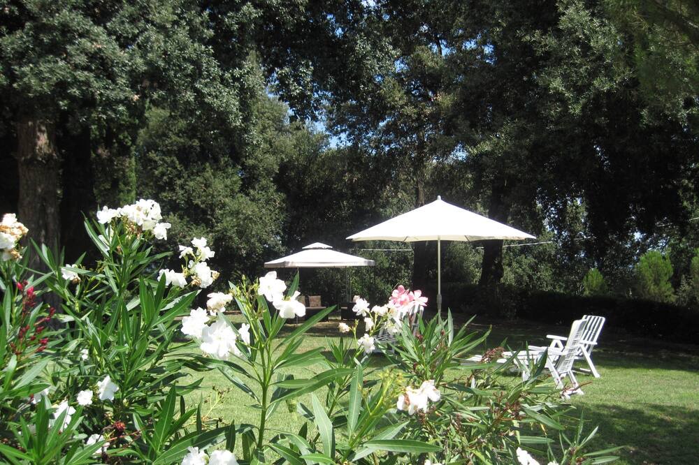 Photo of Outdoor in Faenza