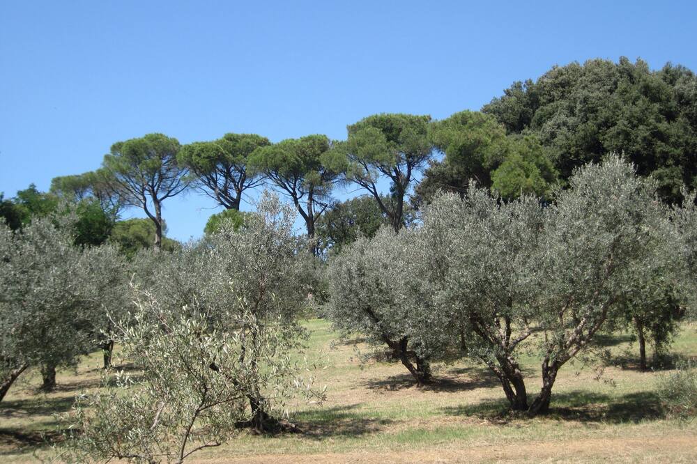 Photo of Outdoor in Faenza