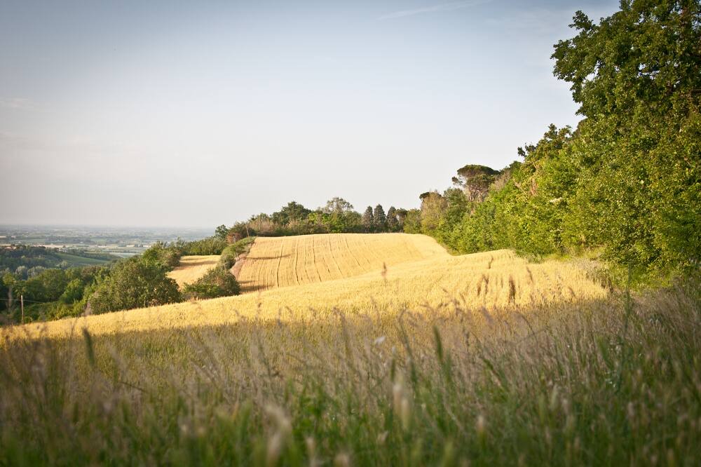 Photo of Outdoor in Faenza