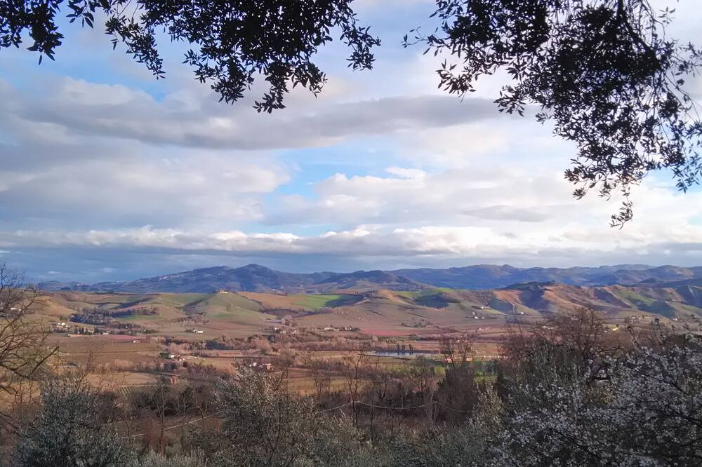 Photo of Outdoor in Faenza