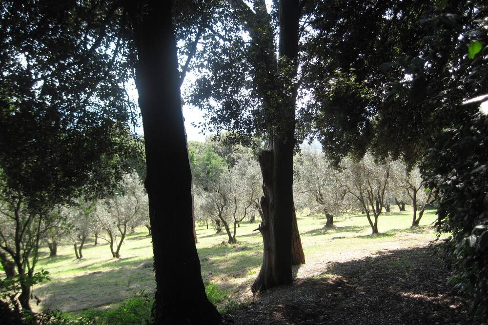 Photo of Outdoor in Faenza