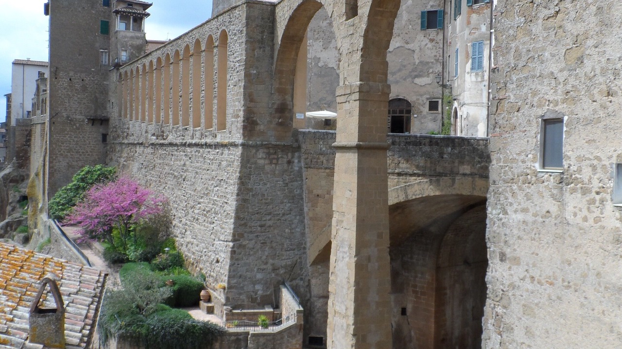 Photo of Outdoor in Montiano