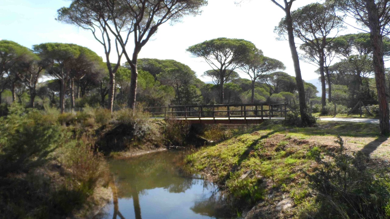 Photo of Outdoor in Montiano