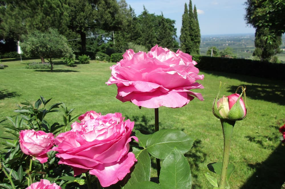 Photo of Outdoor in Faenza