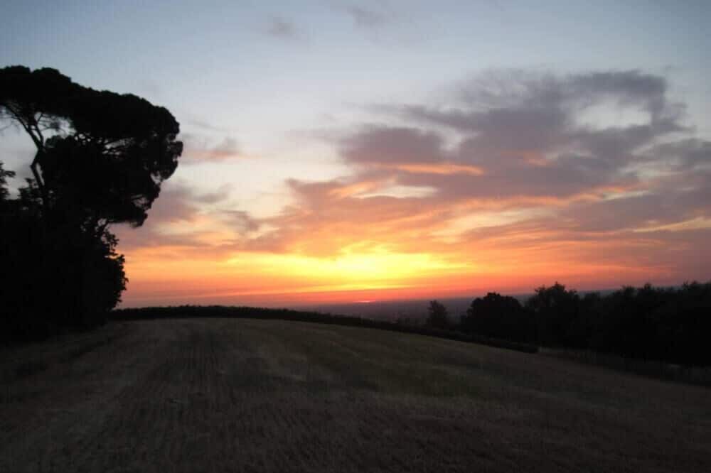Photo of Outdoor in Faenza