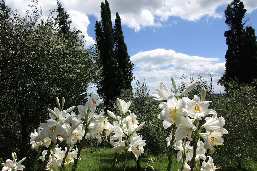 Photo of Outdoor in Faenza