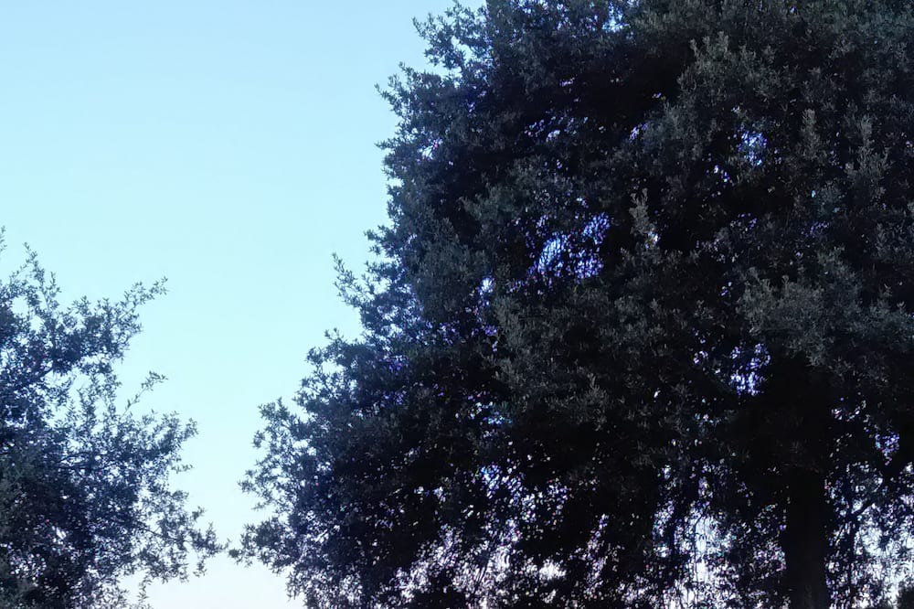 Photo of Outdoor in Faenza