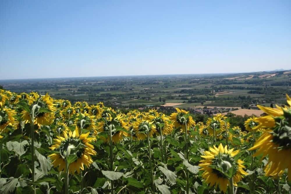 Photo of Outdoor in Faenza