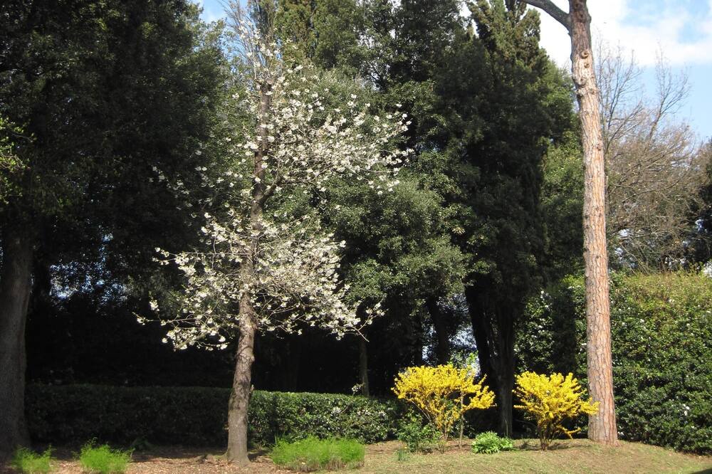 Photo of Outdoor in Faenza