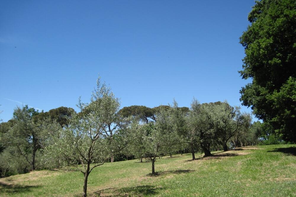 Photo of Outdoor in Faenza