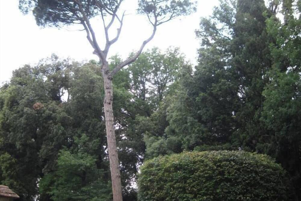 Photo of Outdoor in Faenza