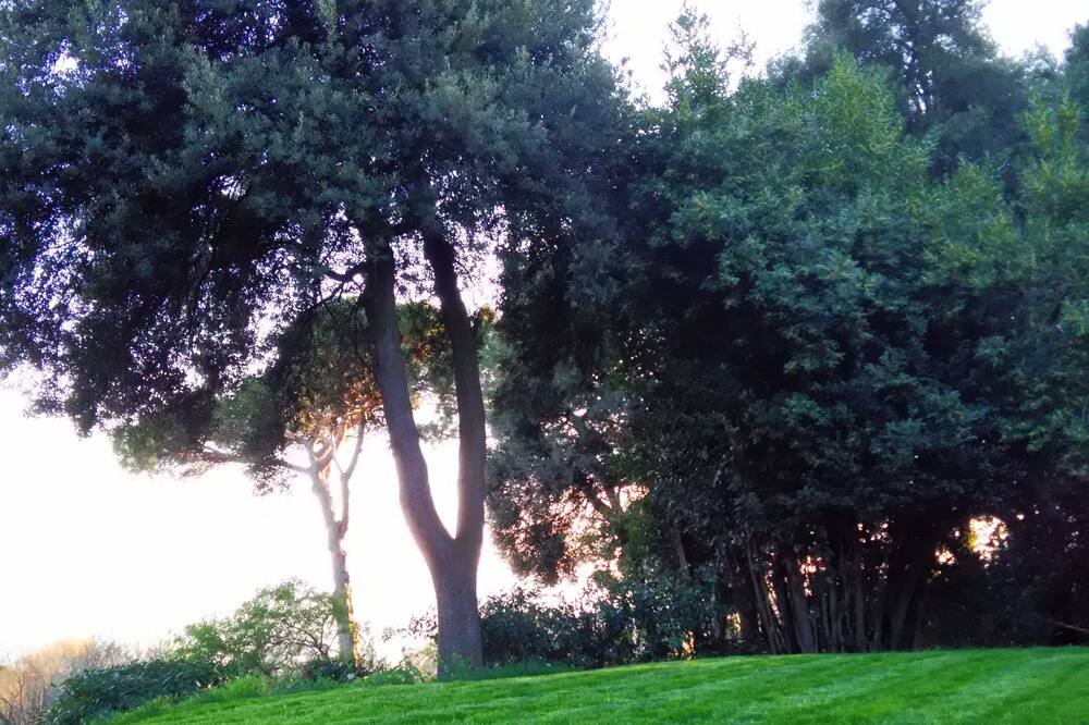 Photo of Outdoor in Faenza