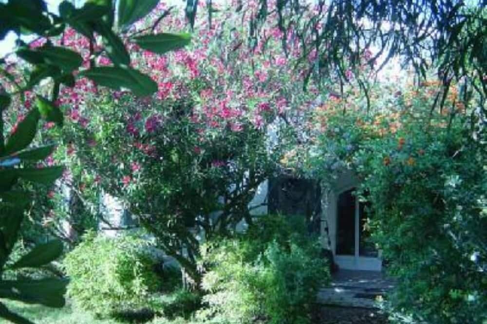 Photo of Outdoor in Lido dei Pini
