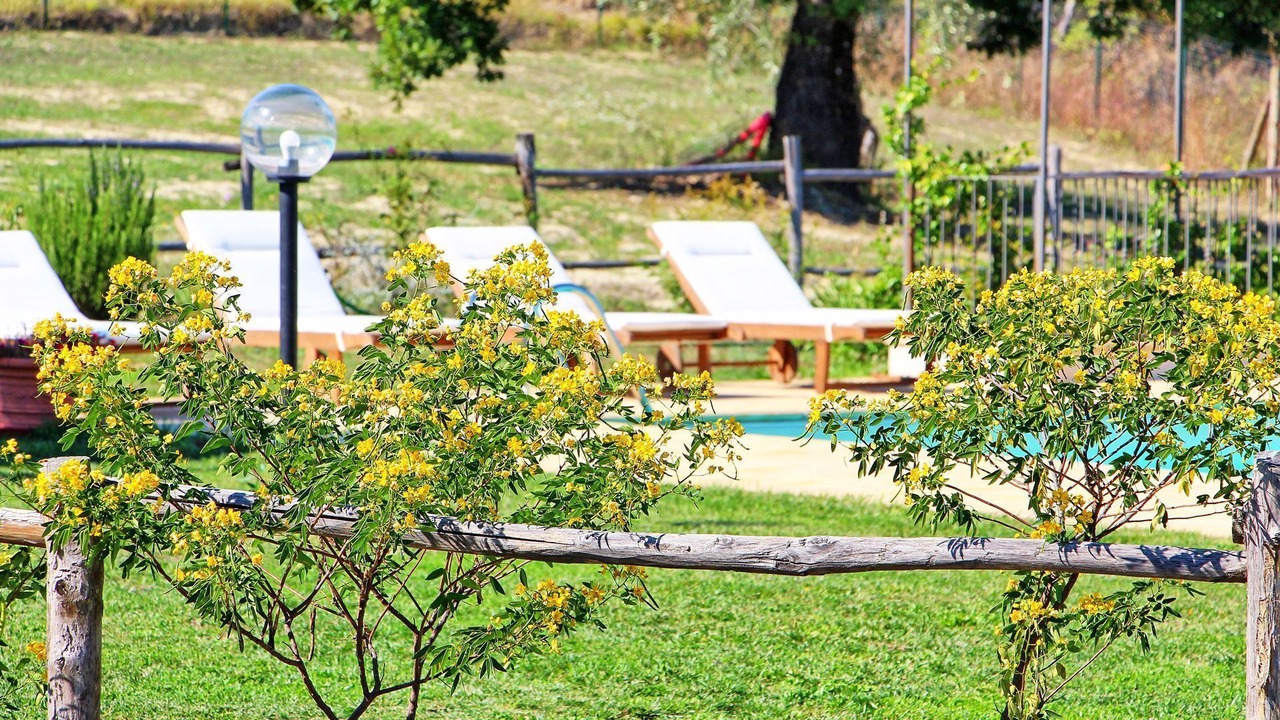 Photo of Outdoor in Bagnoregio