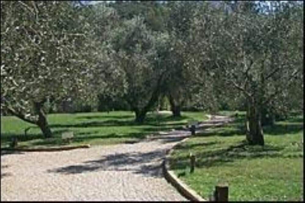 Photo of Outdoor in Bagnaia