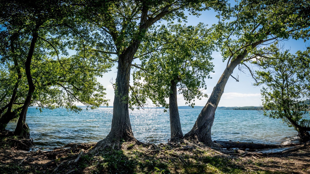 Photo of Others in Lake Bracciano