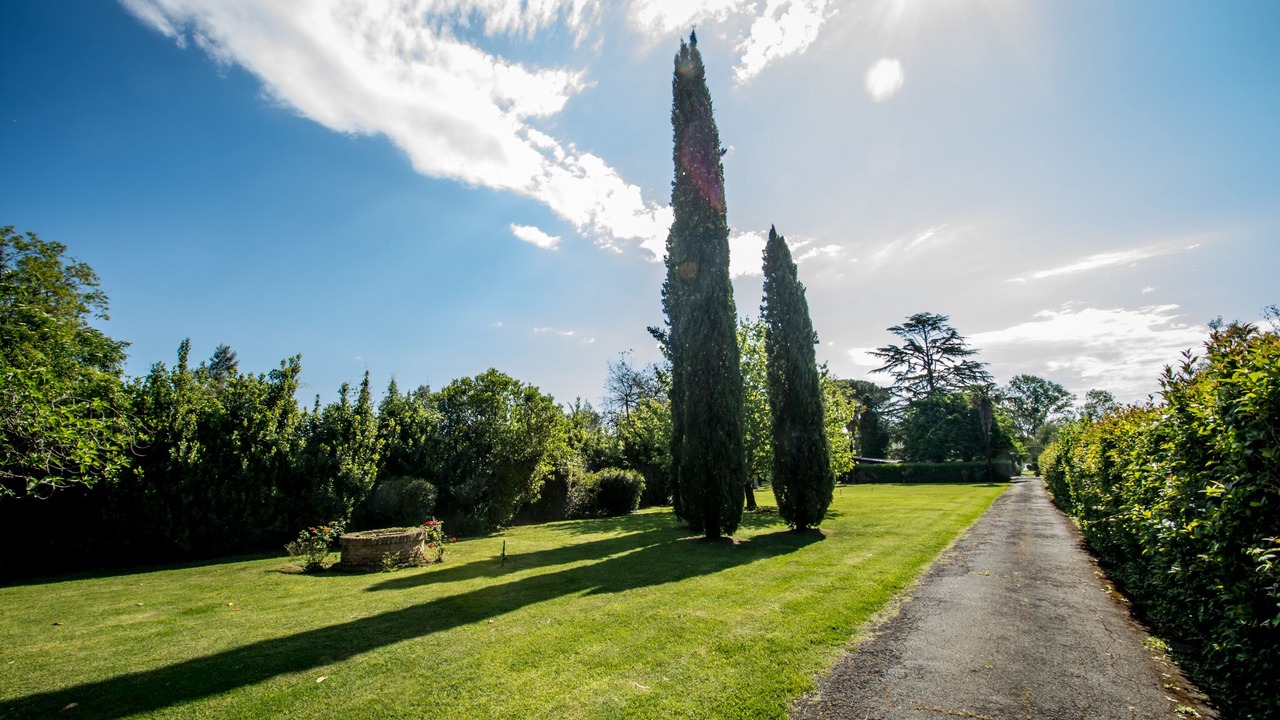Photo of Outdoor in Lake Bracciano