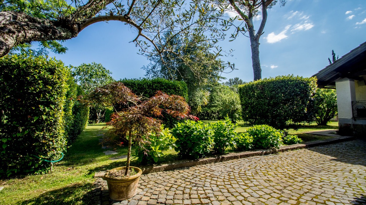 Photo of Outdoor in Lake Bracciano