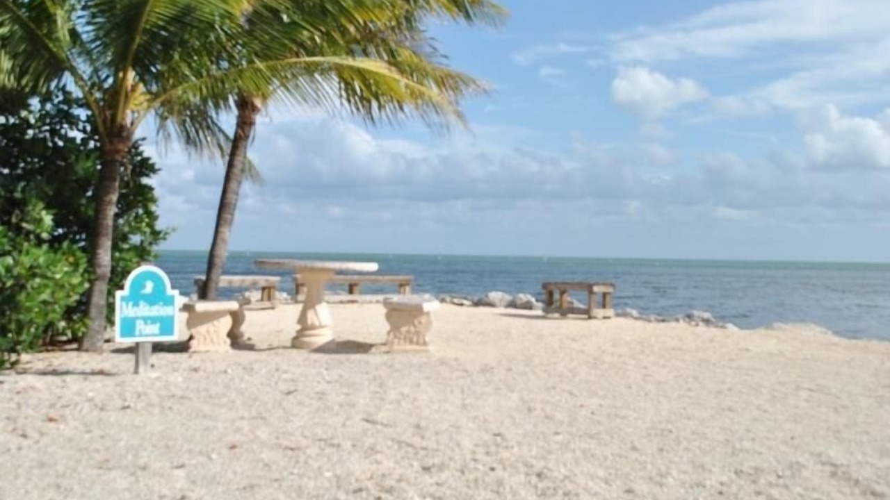 Photo of Others in Tavernier