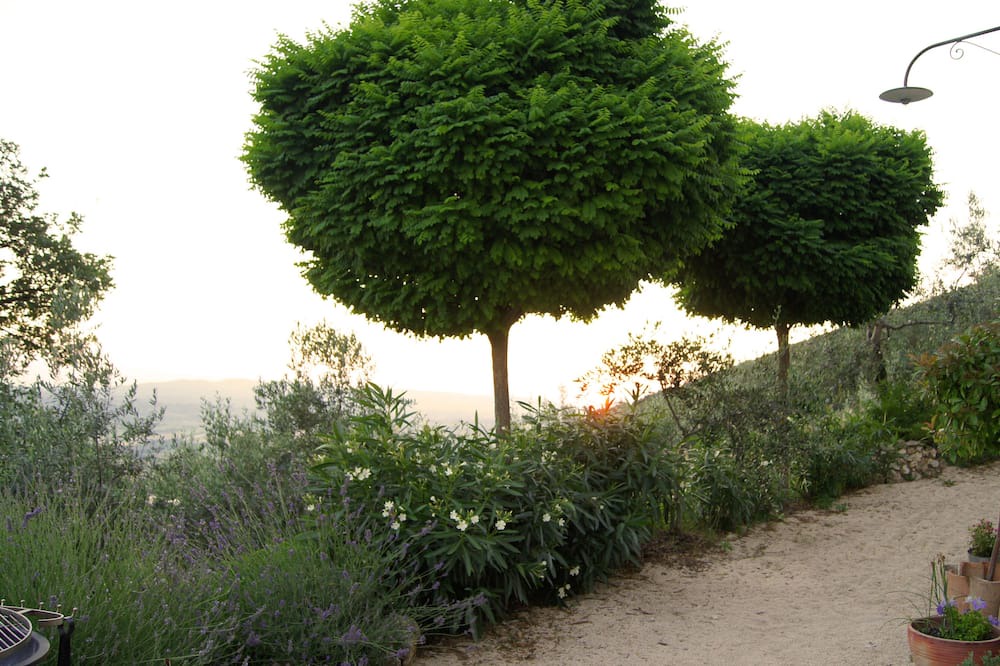 Photo of Outdoor in Trevi