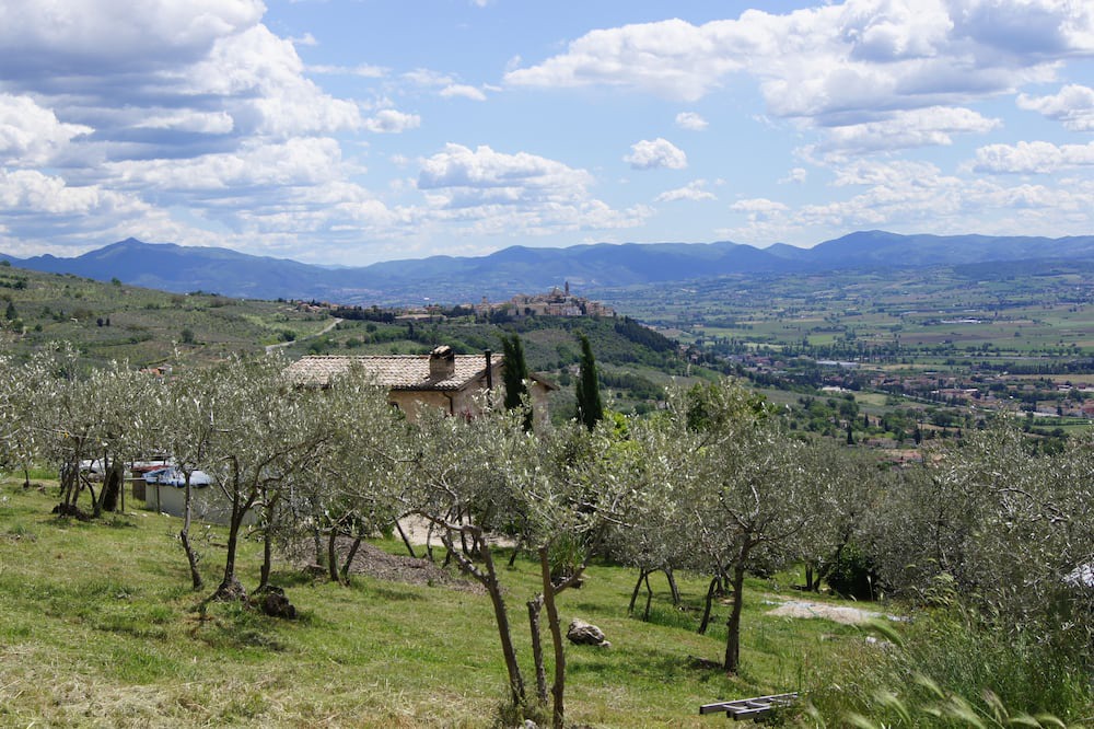 Photo of Outdoor in Trevi