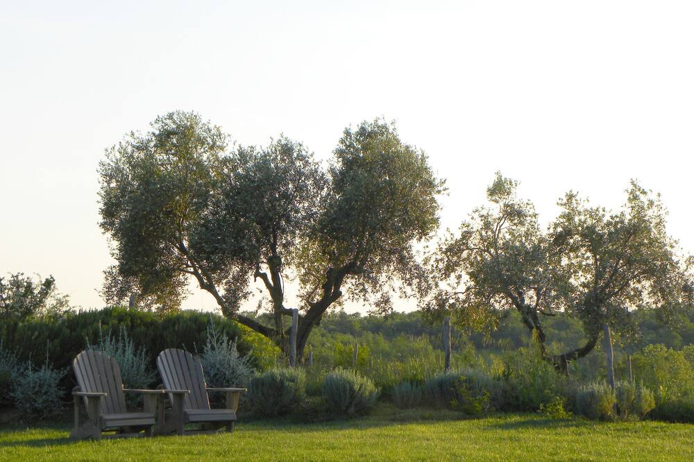 Photo of Outdoor in Capalbio