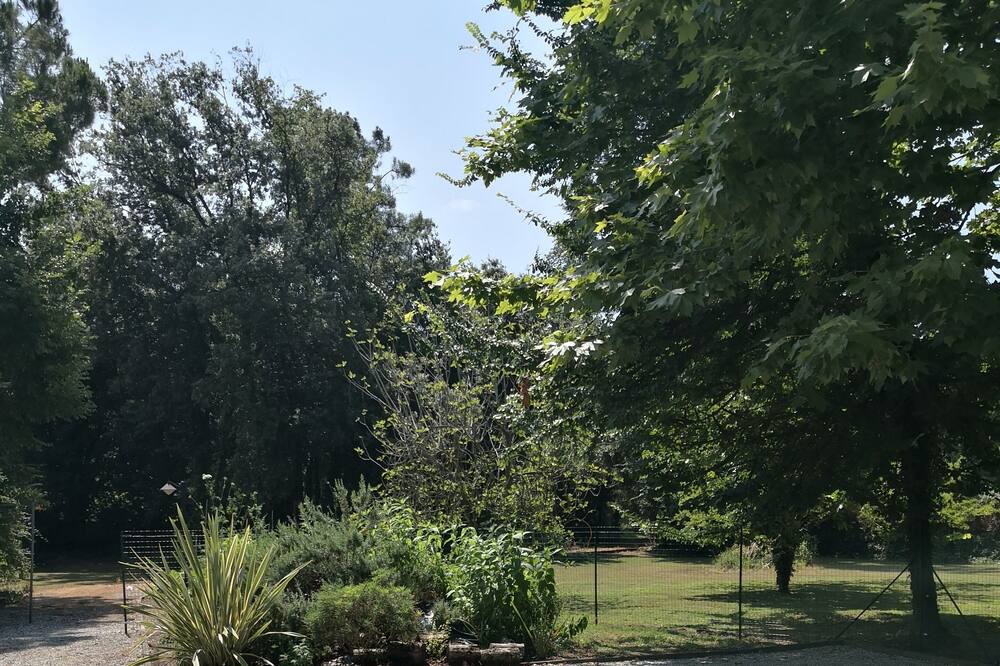Photo of Outdoor in Ronchi