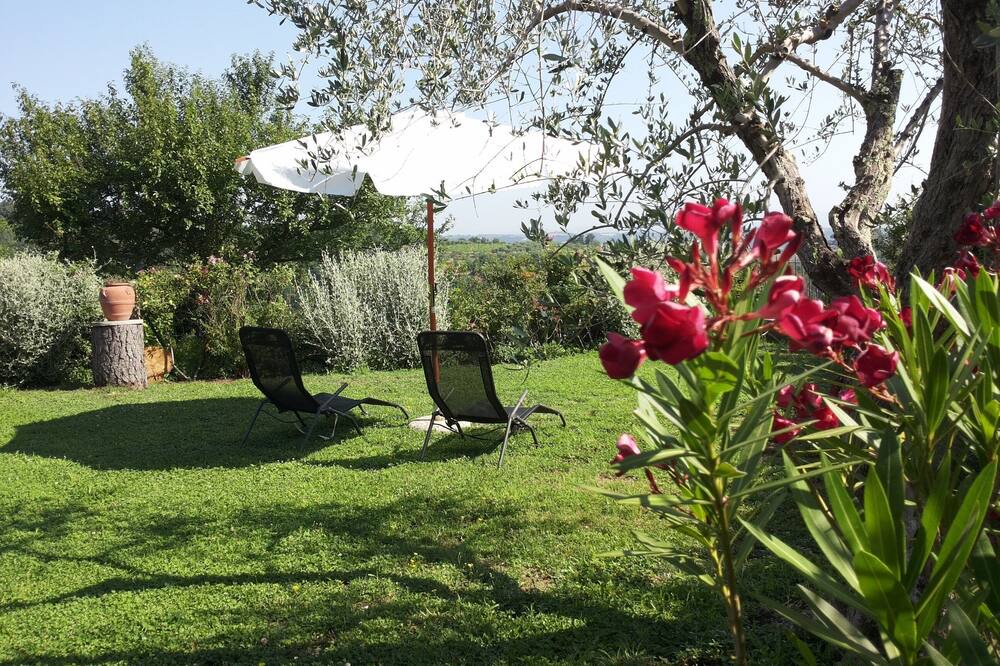 Photo of Outdoor in Castel Cellesi