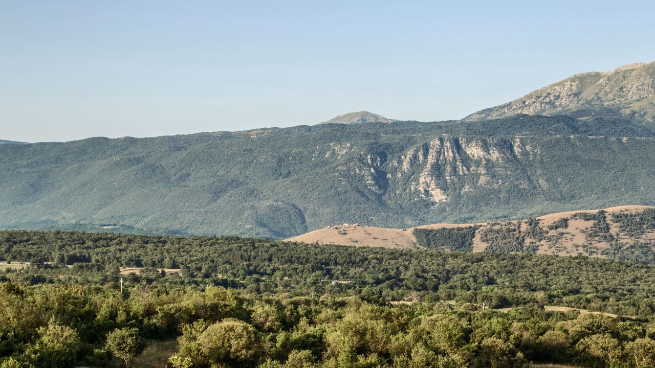 Photo of Others in Poggio Picenze