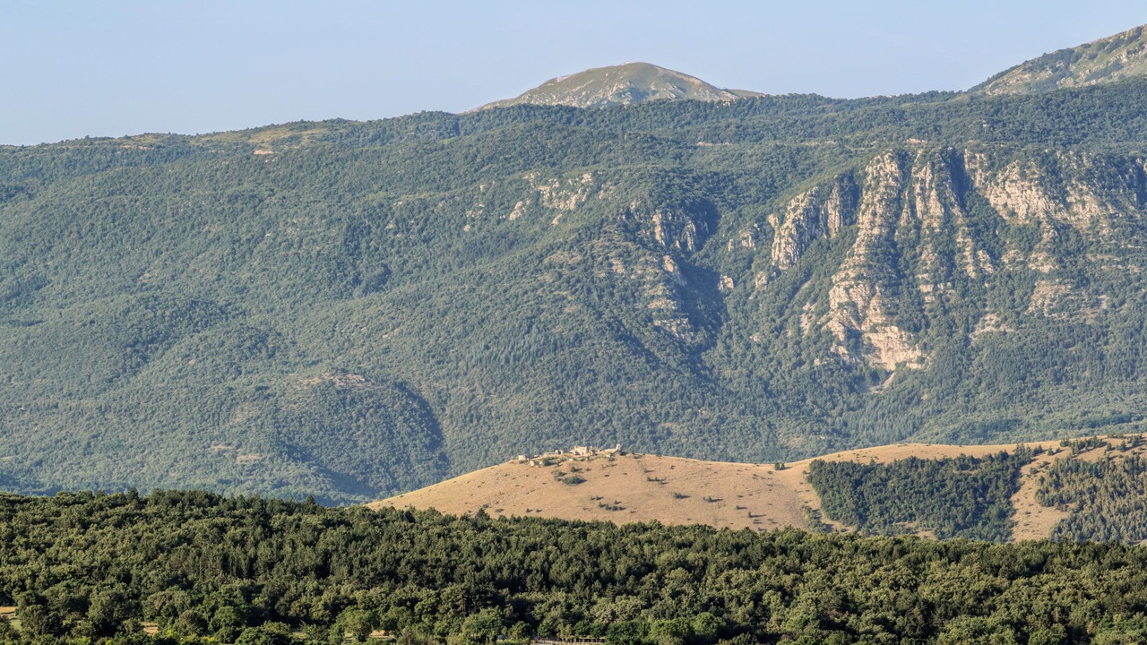 Photo of Others in Poggio Picenze