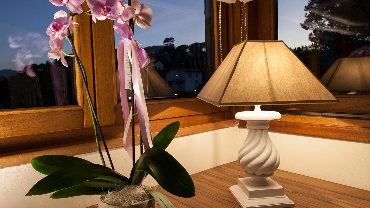 Photo of Bedroom in Marina di Campo