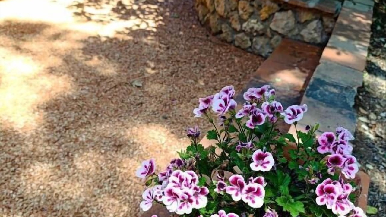 Photo of Outdoor in Bibbona