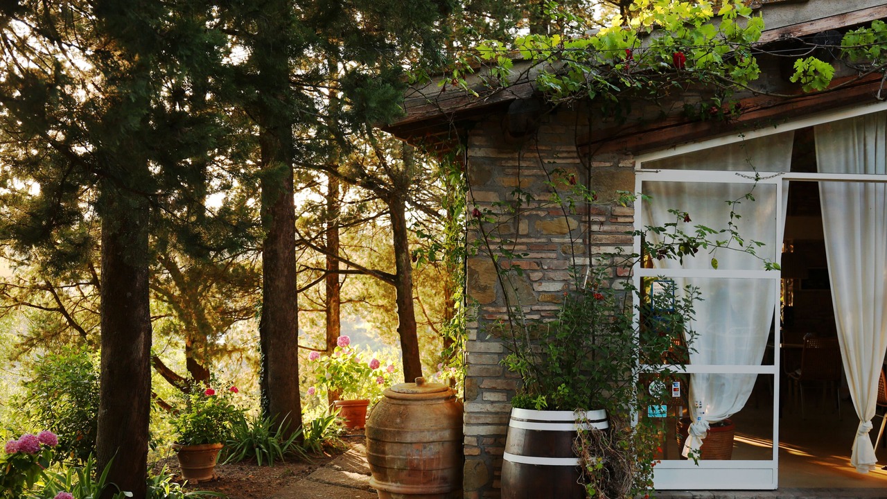Photo of Outdoor in Montelaguardia