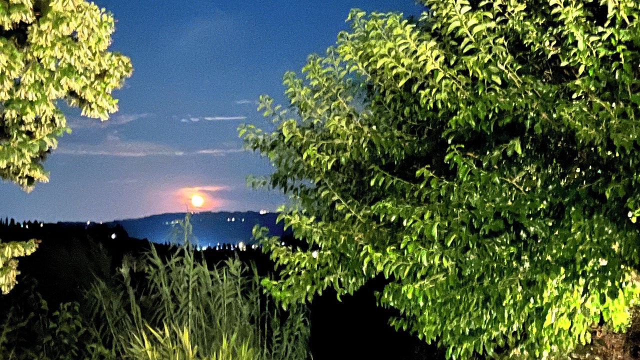 Photo of Others in Bertinoro