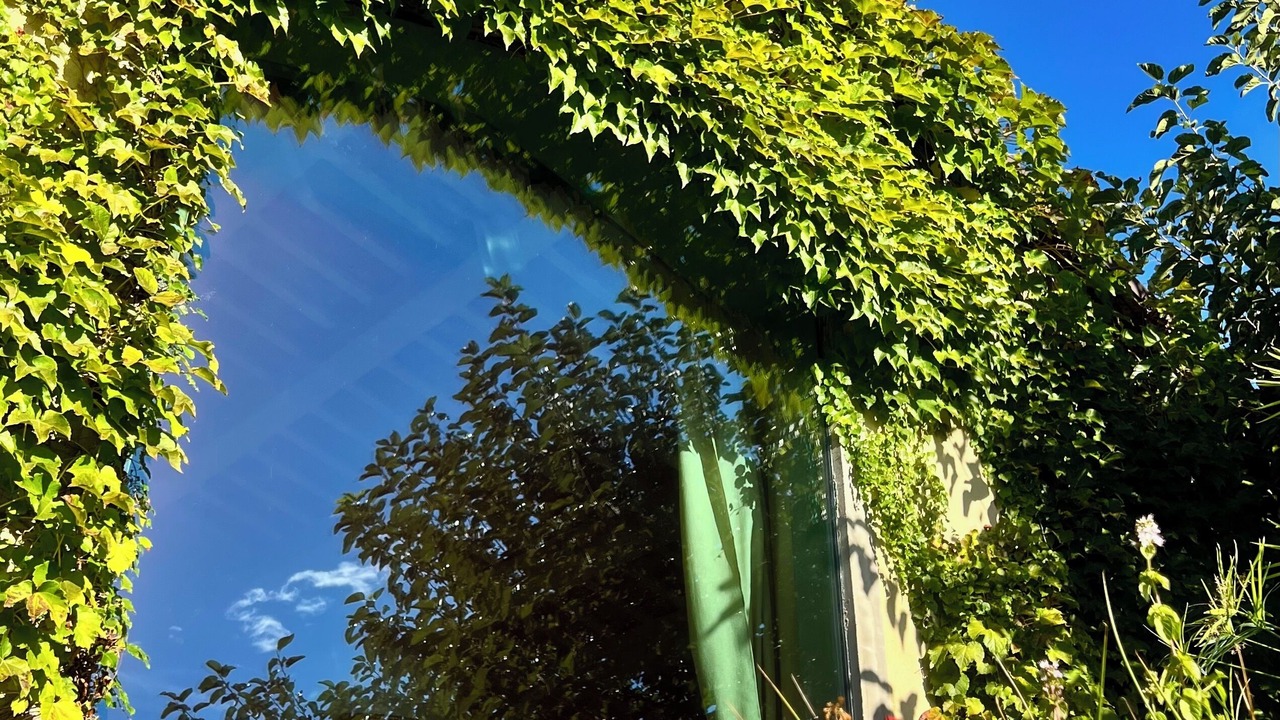 Photo of Outdoor in Bertinoro