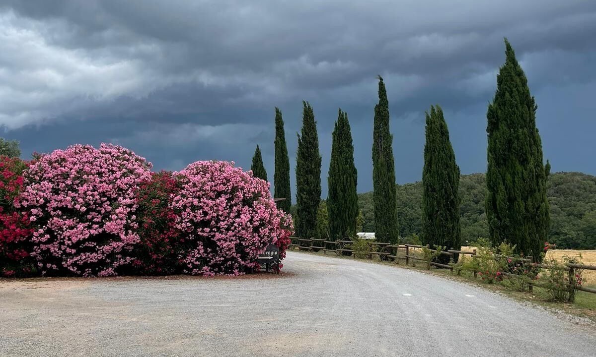 Photo of Outdoor in Capalbio