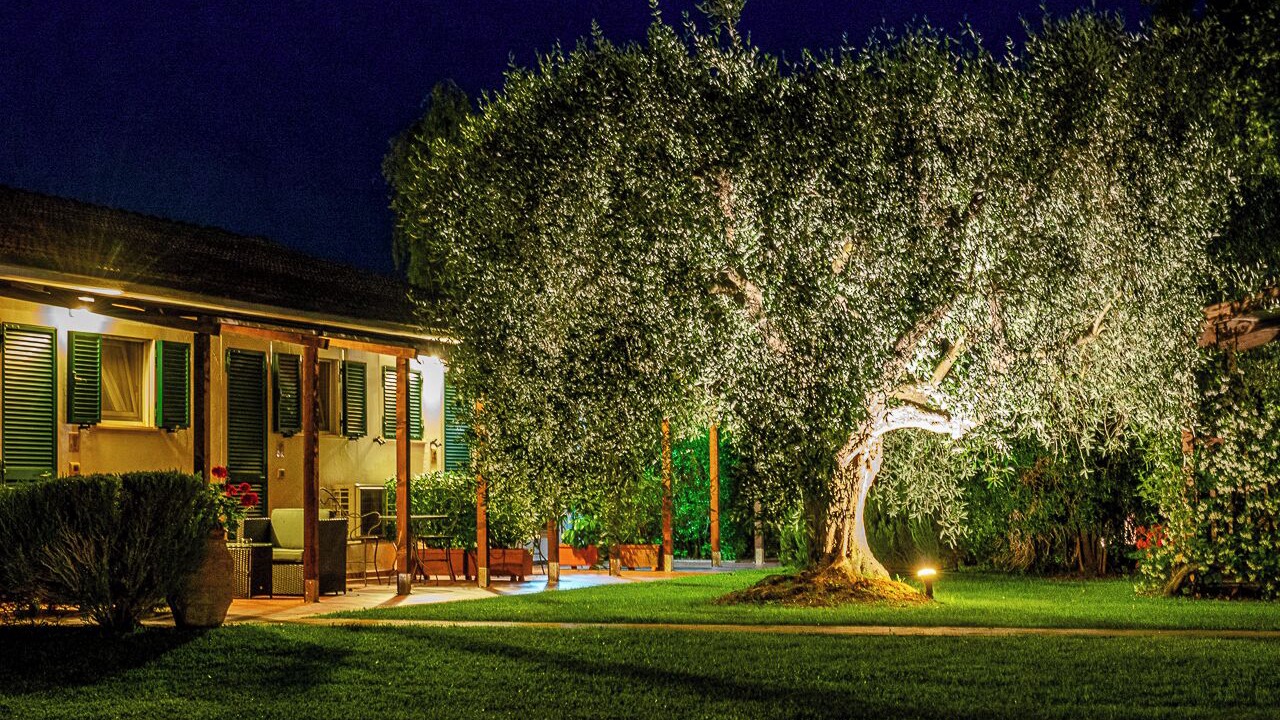 Photo of Outdoor in Capalbio