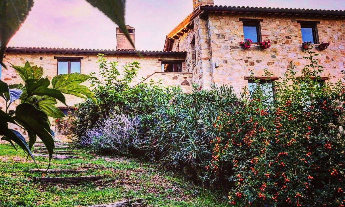 Photo of Outdoor in San Venanzo