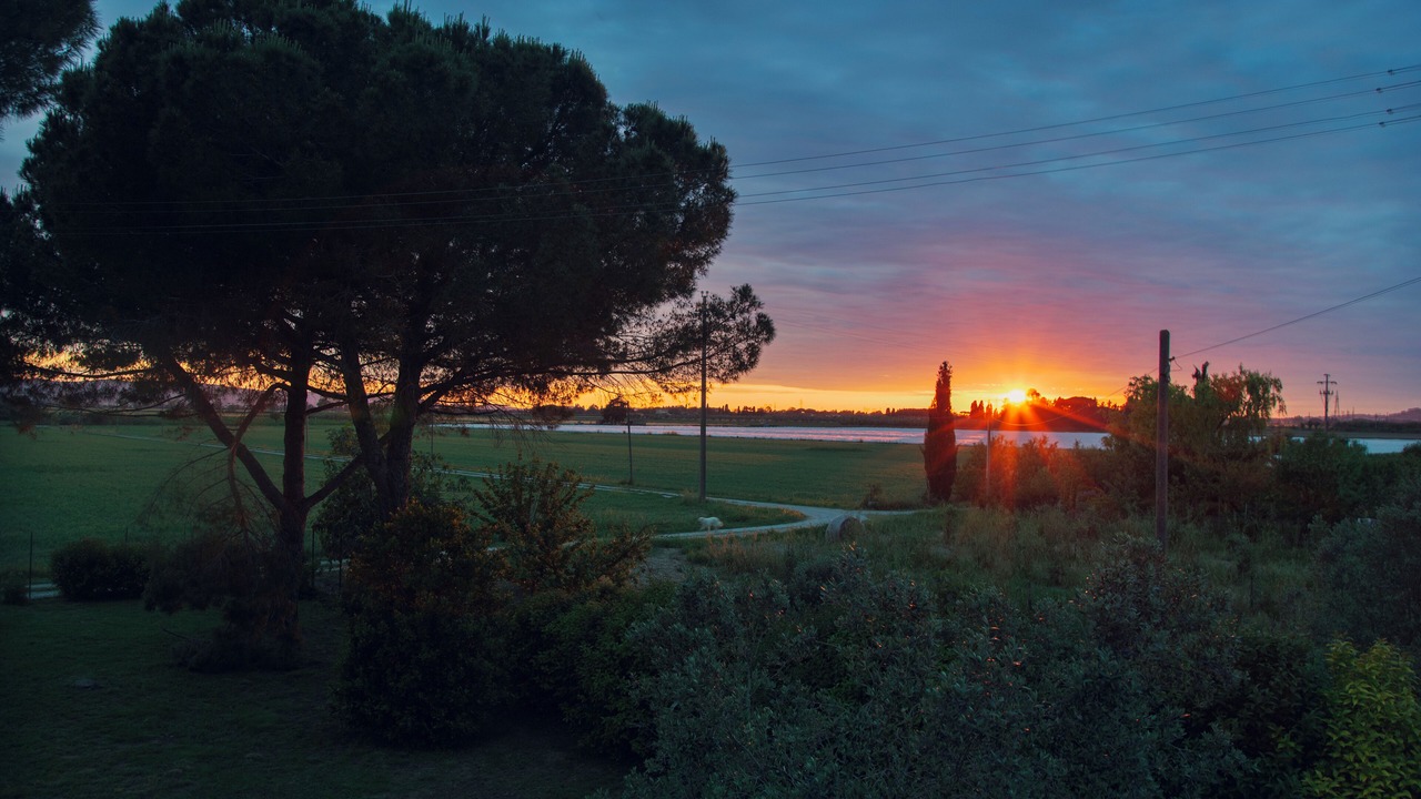 Photo of Outdoor in Piombino