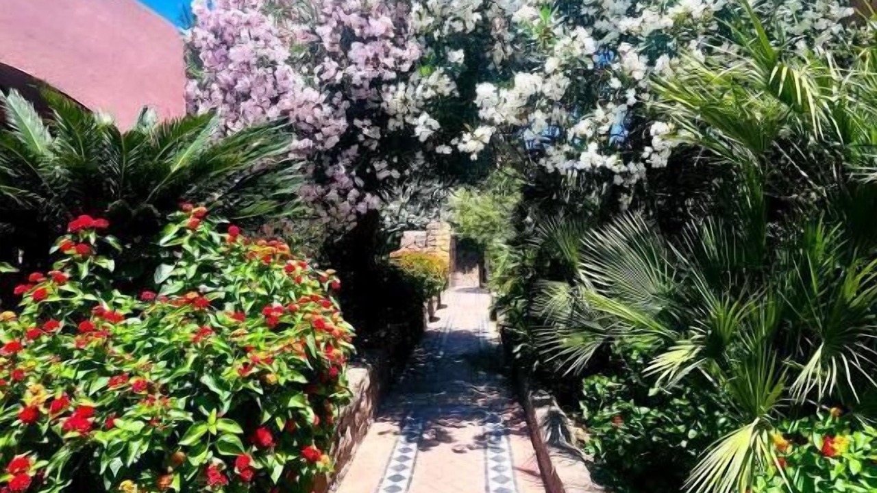 Photo of Outdoor in Ventotene