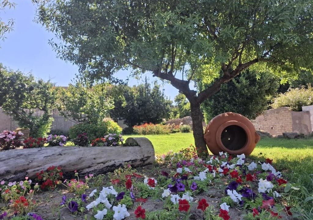 Photo of Outdoor in Ventotene