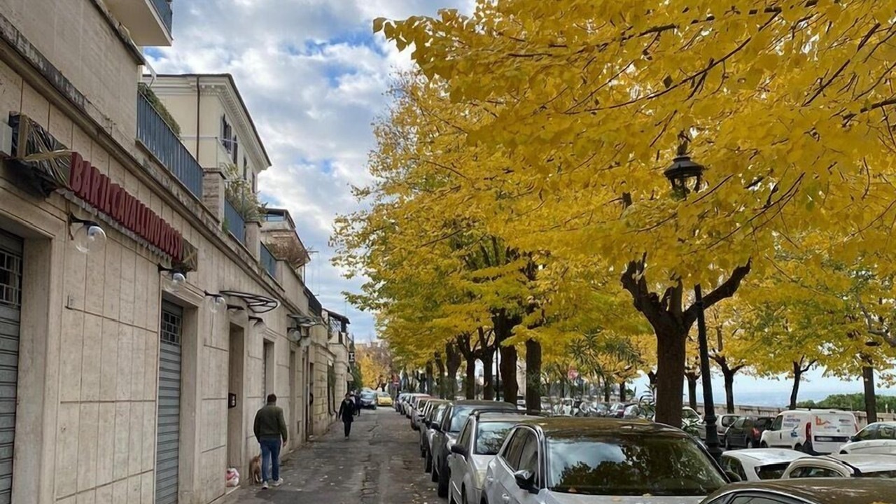 Photo of Outdoor in Tivoli