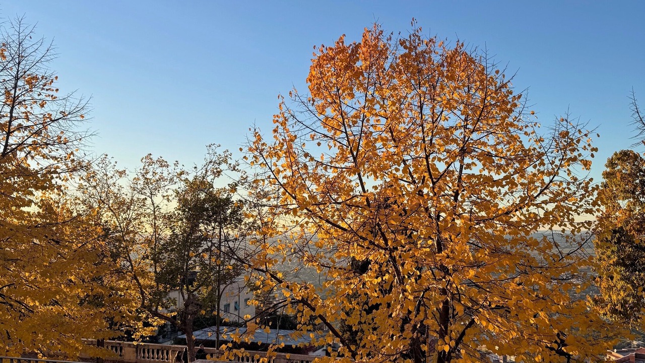 Photo of Outdoor in Tivoli