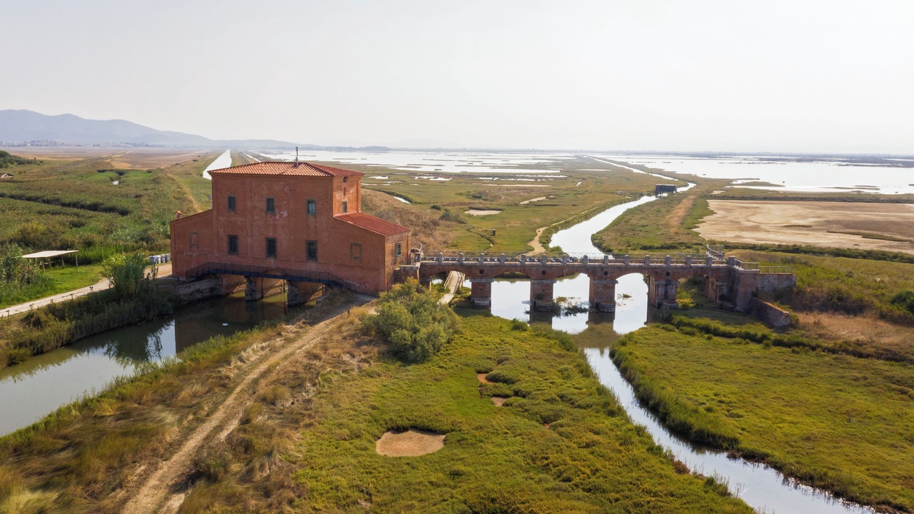 Photo of Outdoor in Castiglione della Pescaia
