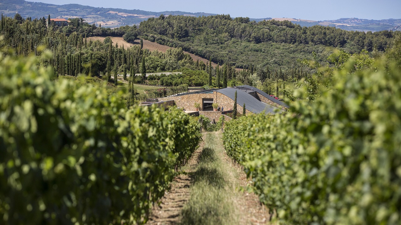 Photo of Others in Rocca d'Orcia