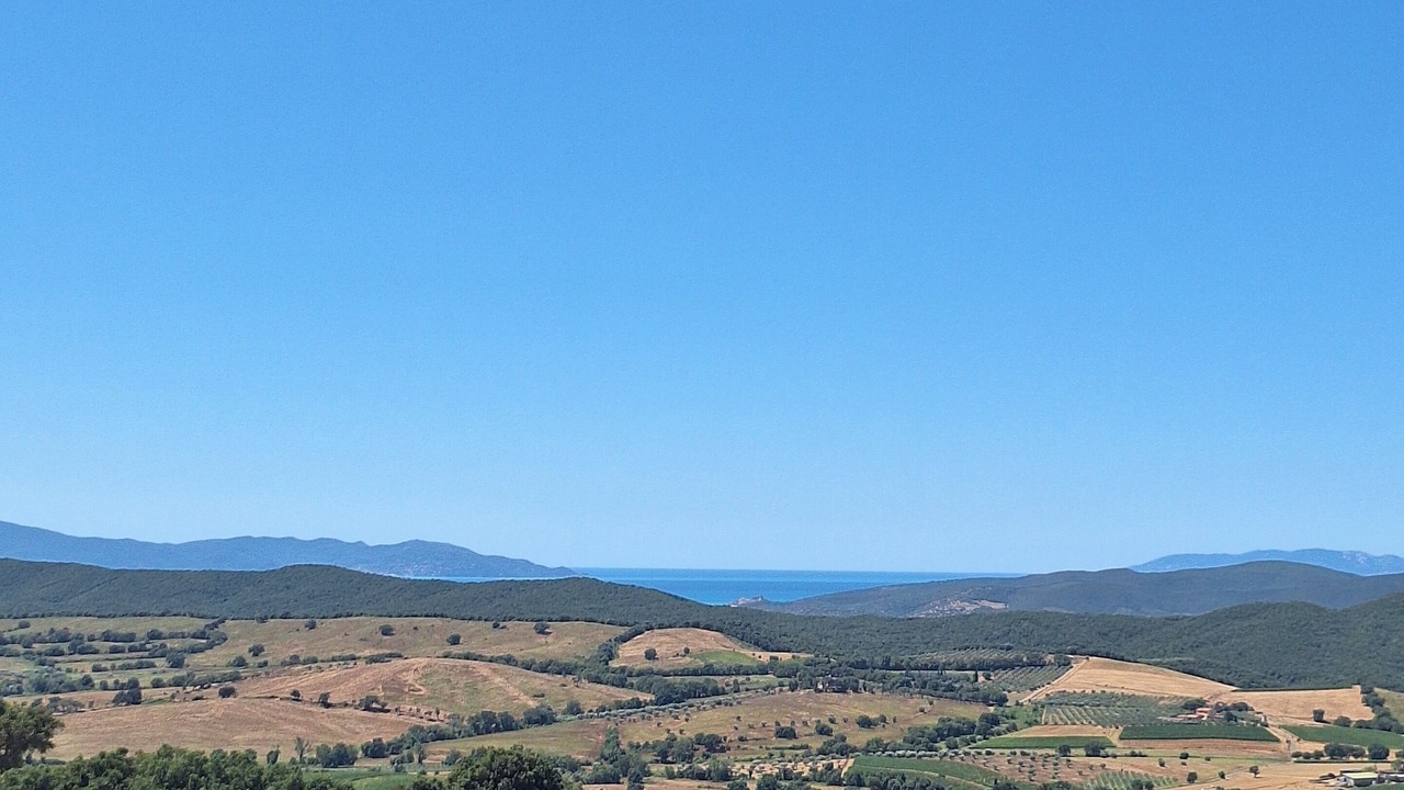 Photo of Others in Magliano in Toscana
