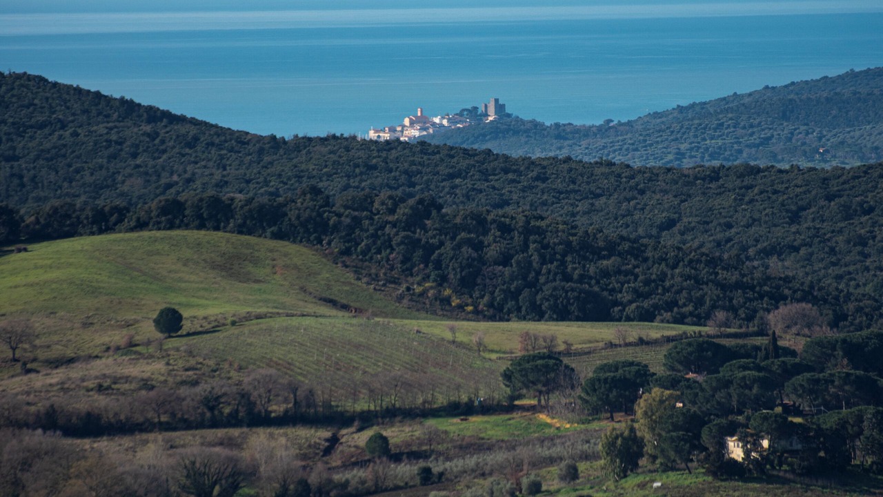 Photo of Outdoor in Magliano in Toscana
